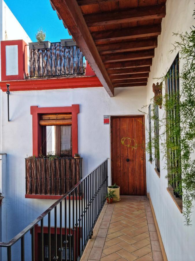 Loft & Private Rooftop With Bbq Sevilla Bagian luar foto
